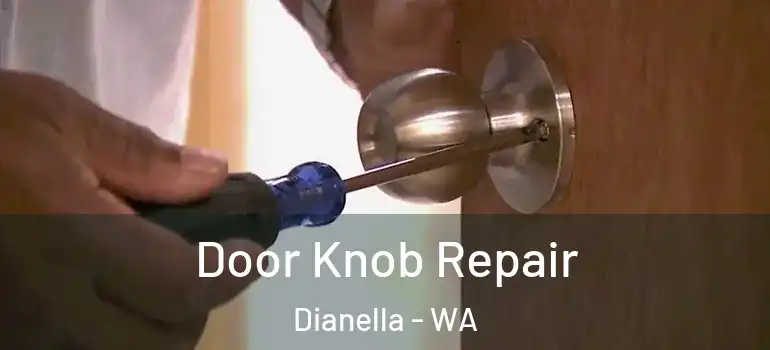  Door Knob Repair Dianella - WA