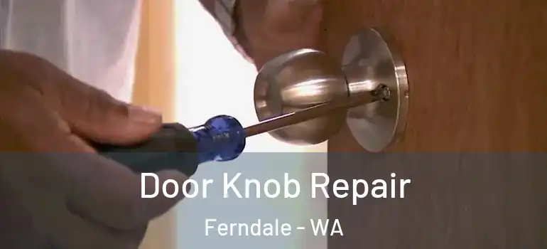  Door Knob Repair Ferndale - WA