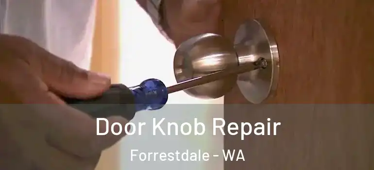 Door Knob Repair Forrestdale - WA