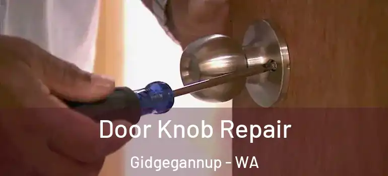  Door Knob Repair Gidgegannup - WA