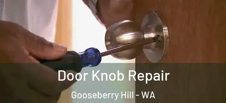  Door Knob Repair Gooseberry Hill - WA