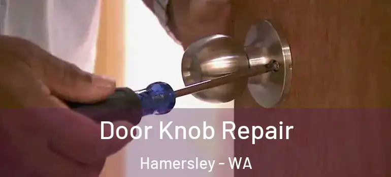 Door Knob Repair Hamersley - WA