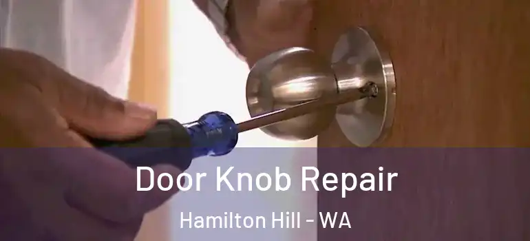 Door Knob Repair Hamilton Hill - WA