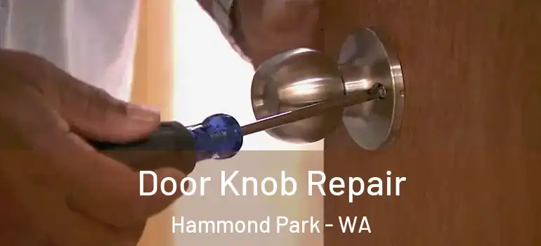Door Knob Repair Hammond Park - WA
