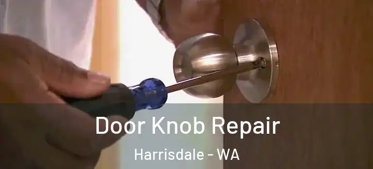 Door Knob Repair Harrisdale - WA