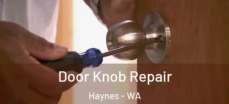 Door Knob Repair Haynes - WA