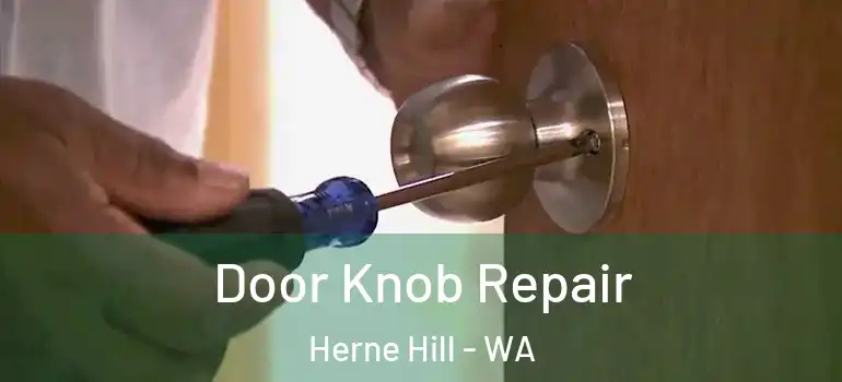  Door Knob Repair Herne Hill - WA