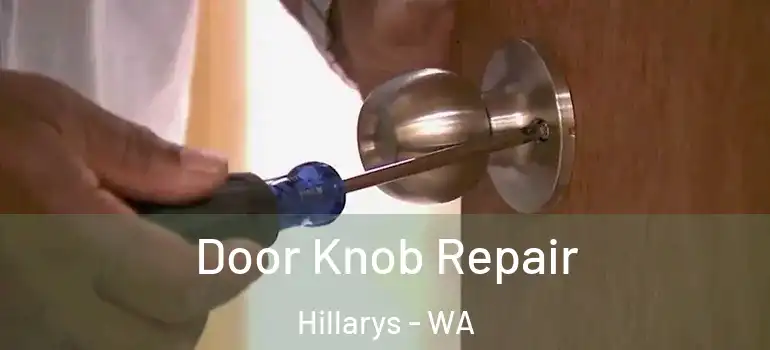 Door Knob Repair Hillarys - WA