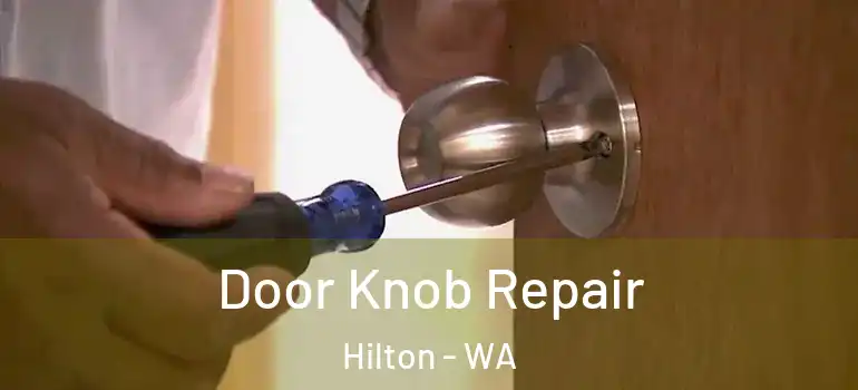 Door Knob Repair Hilton - WA