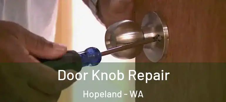  Door Knob Repair Hopeland - WA