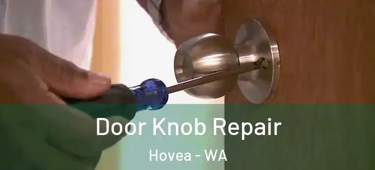 Door Knob Repair Hovea - WA