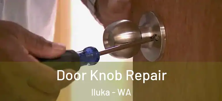 Door Knob Repair Iluka - WA