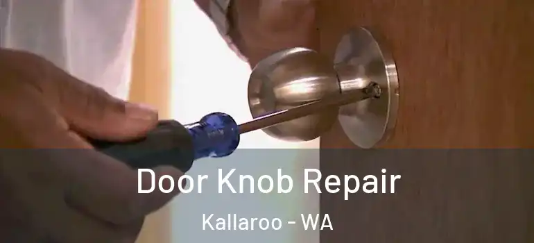  Door Knob Repair Kallaroo - WA