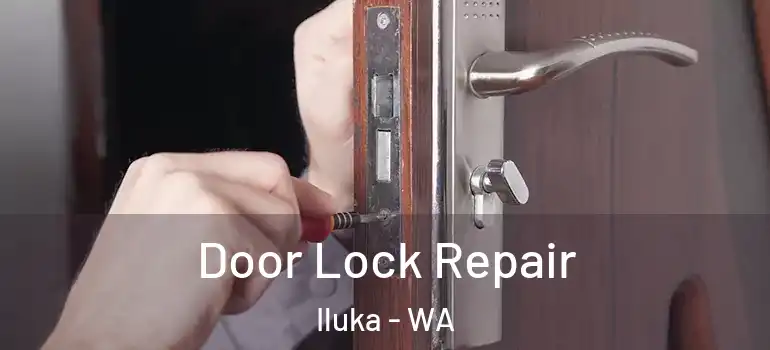 Door Lock Repair Iluka - WA