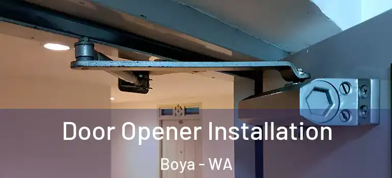  Door Opener Installation Boya - WA