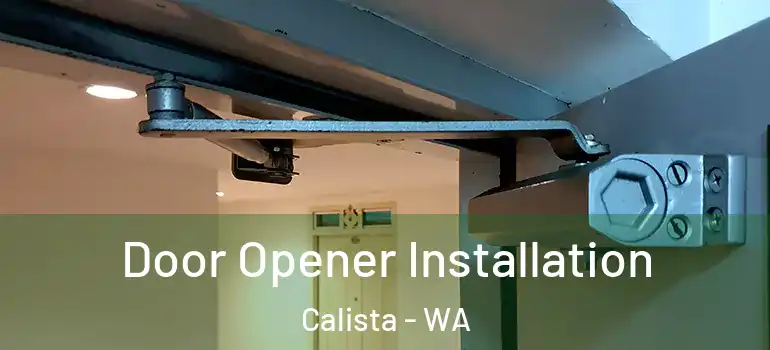  Door Opener Installation Calista - WA