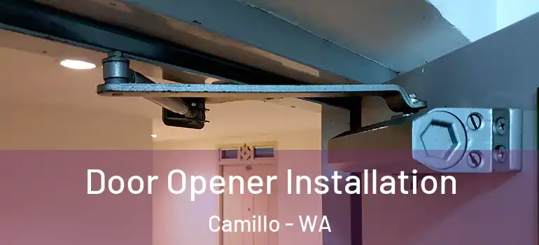  Door Opener Installation Camillo - WA