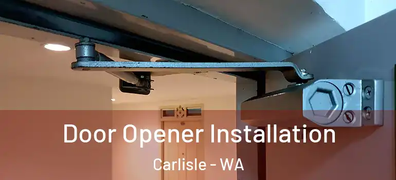  Door Opener Installation Carlisle - WA