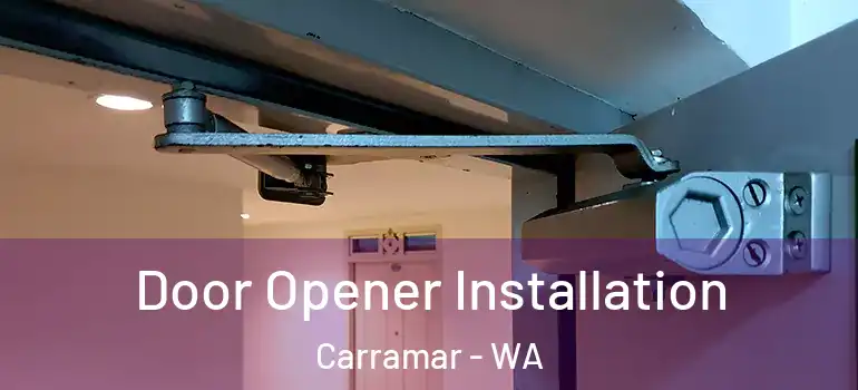  Door Opener Installation Carramar - WA