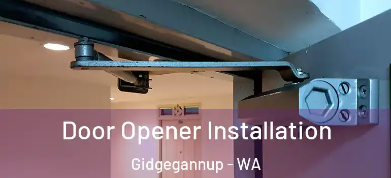 Door Opener Installation Gidgegannup - WA