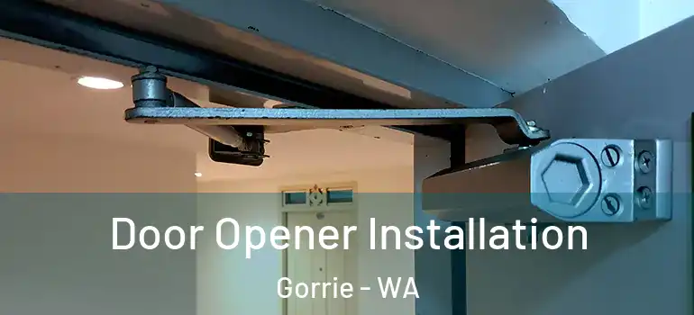  Door Opener Installation Gorrie - WA