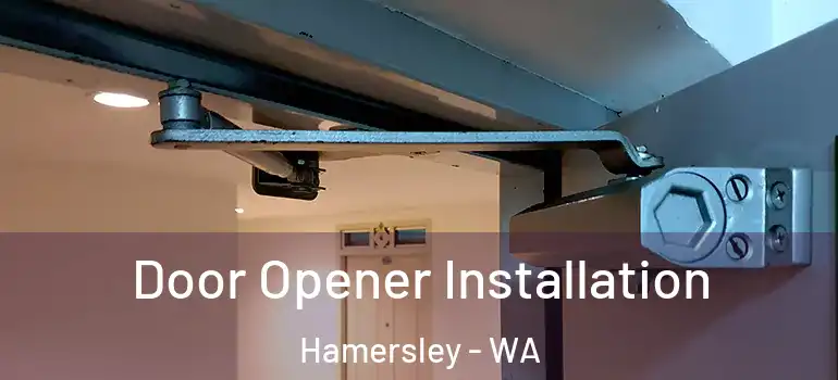  Door Opener Installation Hamersley - WA