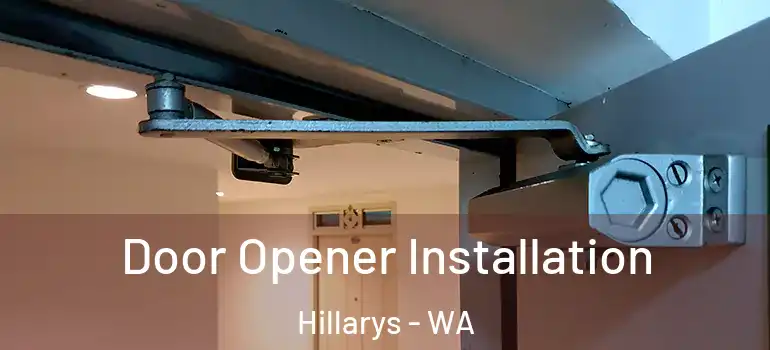  Door Opener Installation Hillarys - WA
