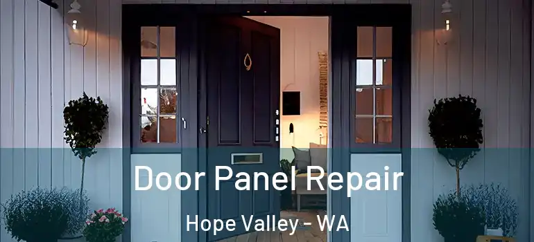  Door Panel Repair Hope Valley - WA