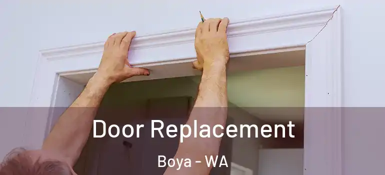  Door Replacement Boya - WA