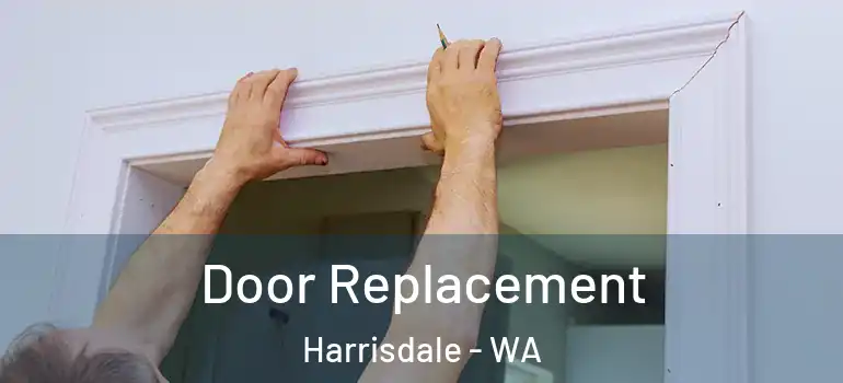  Door Replacement Harrisdale - WA
