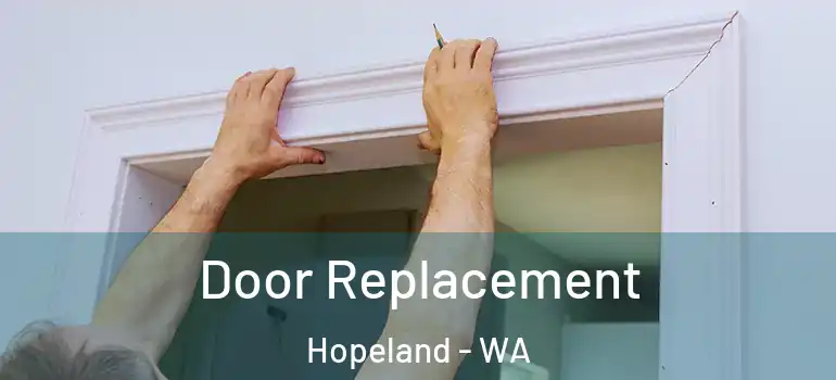  Door Replacement Hopeland - WA