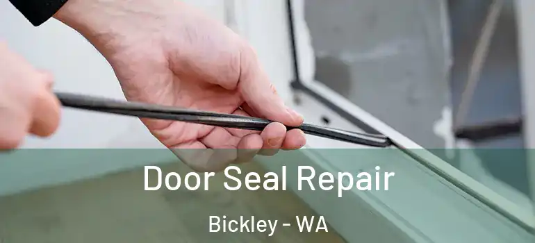  Door Seal Repair Bickley - WA