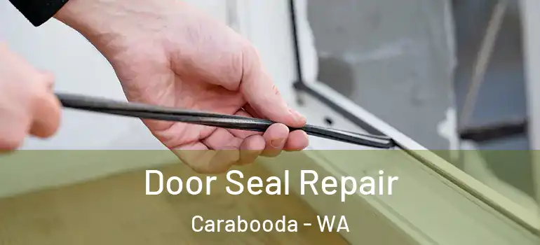  Door Seal Repair Carabooda - WA