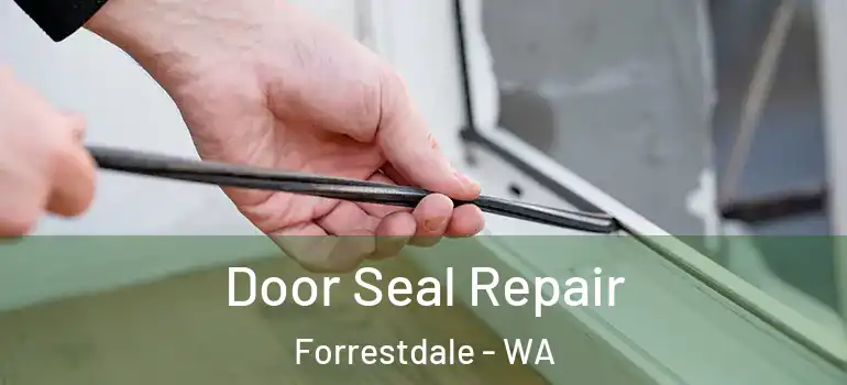  Door Seal Repair Forrestdale - WA