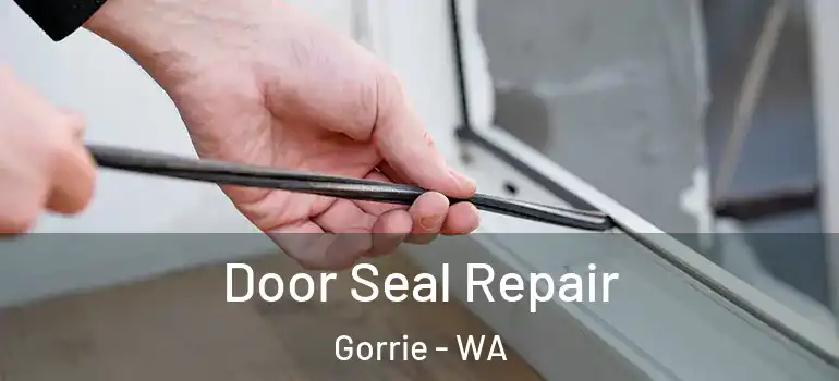  Door Seal Repair Gorrie - WA