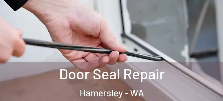  Door Seal Repair Hamersley - WA