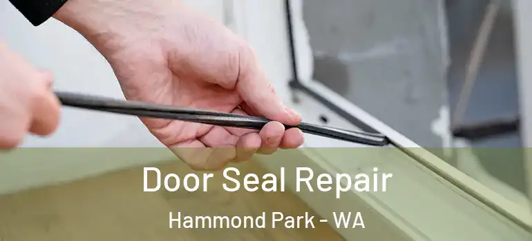  Door Seal Repair Hammond Park - WA