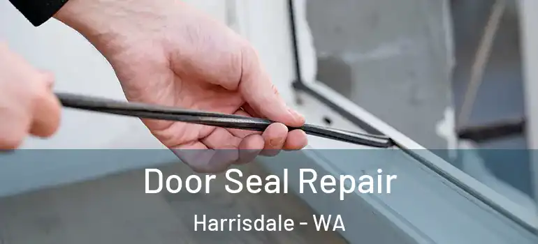 Door Seal Repair Harrisdale - WA