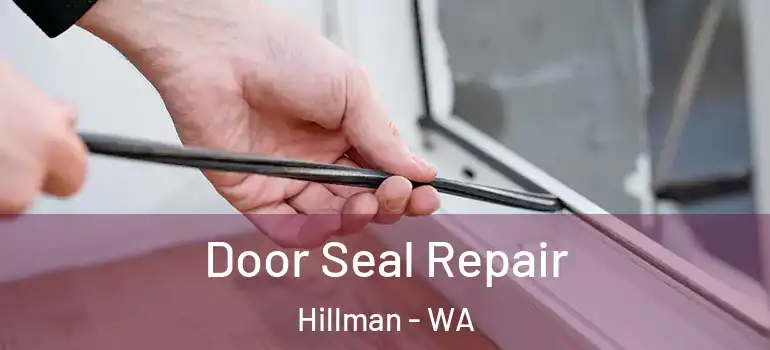 Door Seal Repair Hillman - WA