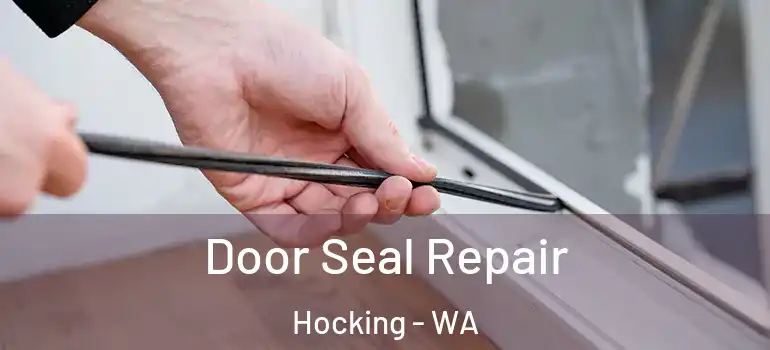  Door Seal Repair Hocking - WA
