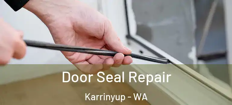  Door Seal Repair Karrinyup - WA