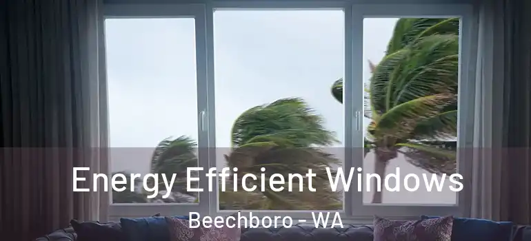  Energy Efficient Windows Beechboro - WA