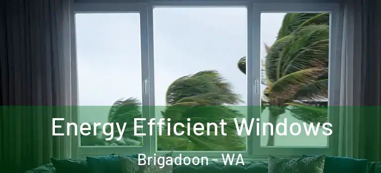 Energy Efficient Windows Brigadoon - WA