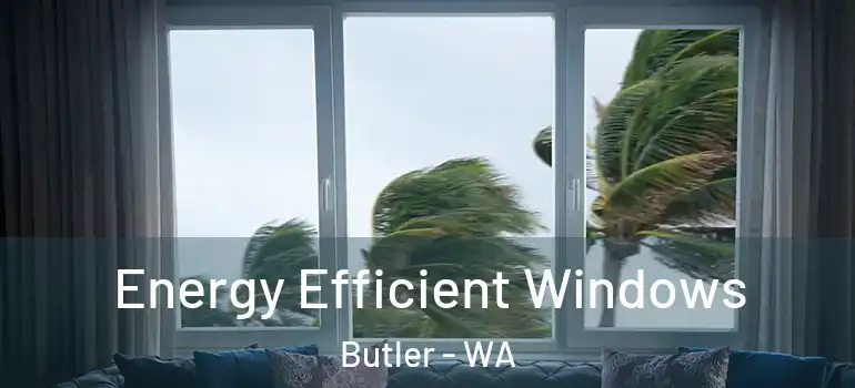  Energy Efficient Windows Butler - WA