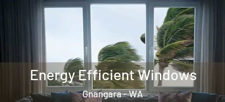  Energy Efficient Windows Gnangara - WA
