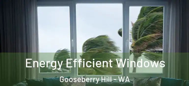 Energy Efficient Windows Gooseberry Hill - WA