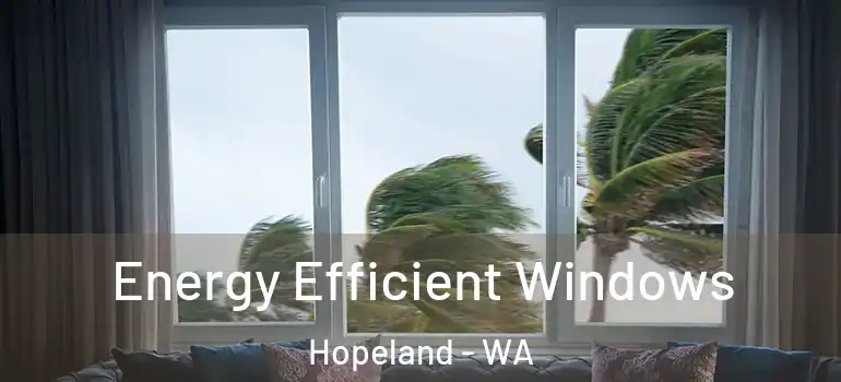  Energy Efficient Windows Hopeland - WA