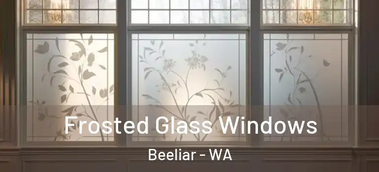 Frosted Glass Windows Beeliar - WA