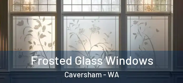  Frosted Glass Windows Caversham - WA