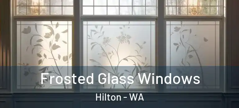  Frosted Glass Windows Hilton - WA